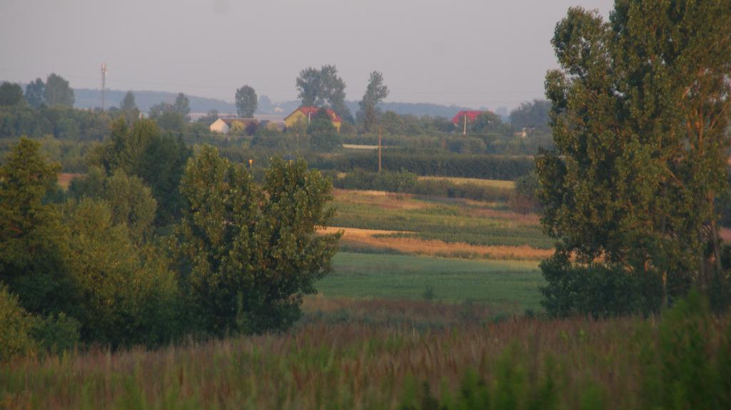 Dwor Na Wichrowym Wzgorzu Panzió Przybysławice Kültér fotó