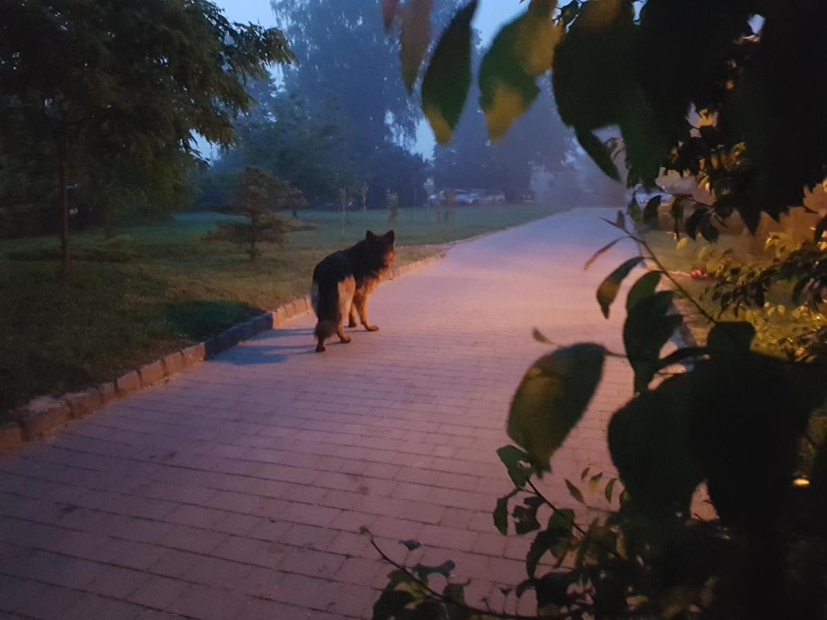Dwor Na Wichrowym Wzgorzu Panzió Przybysławice Kültér fotó